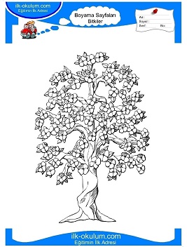 Çocuklar İçin Ağaç Boyama Sayfaları 